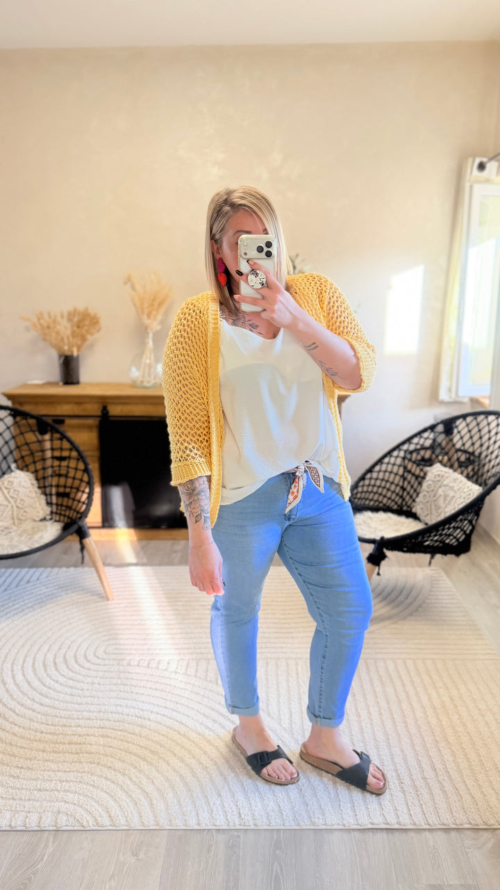 Jean Ales CURVY