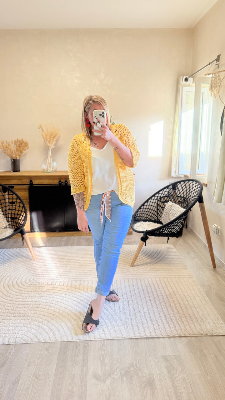 Jean Ales CURVY